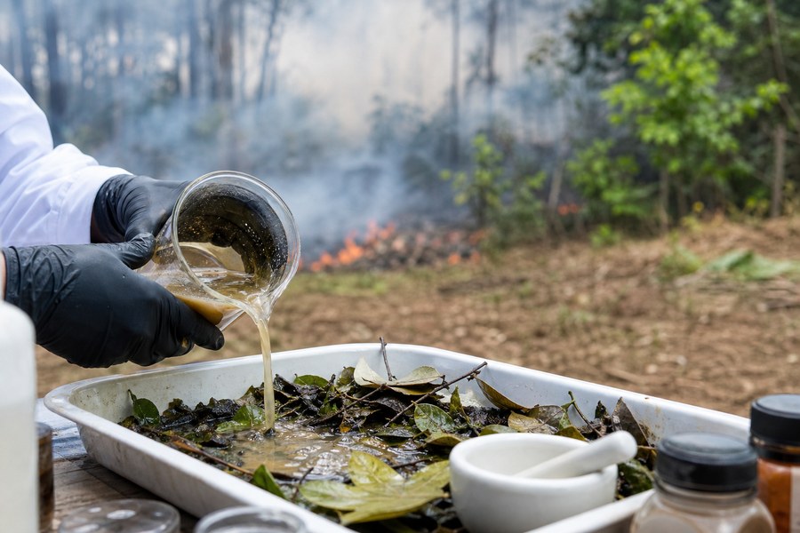 Solução natural sendo testada em folhas e solo próximo a área de floresta, usada como capa da matéria sobre BIODEFENSER